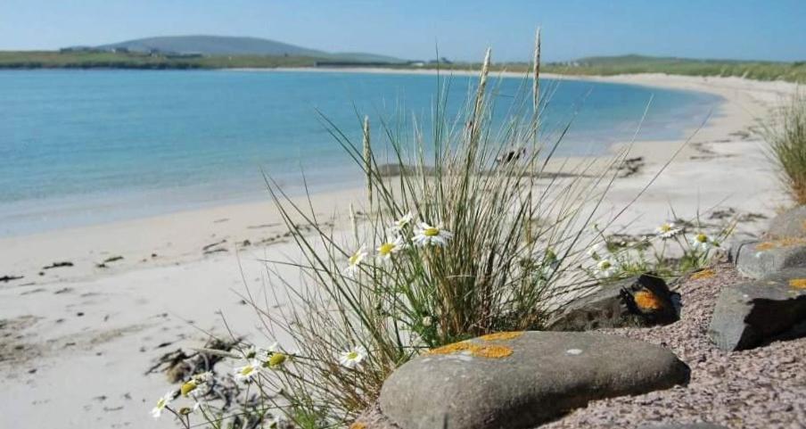 Islesburgh House Hostel Lerwick Kültér fotó